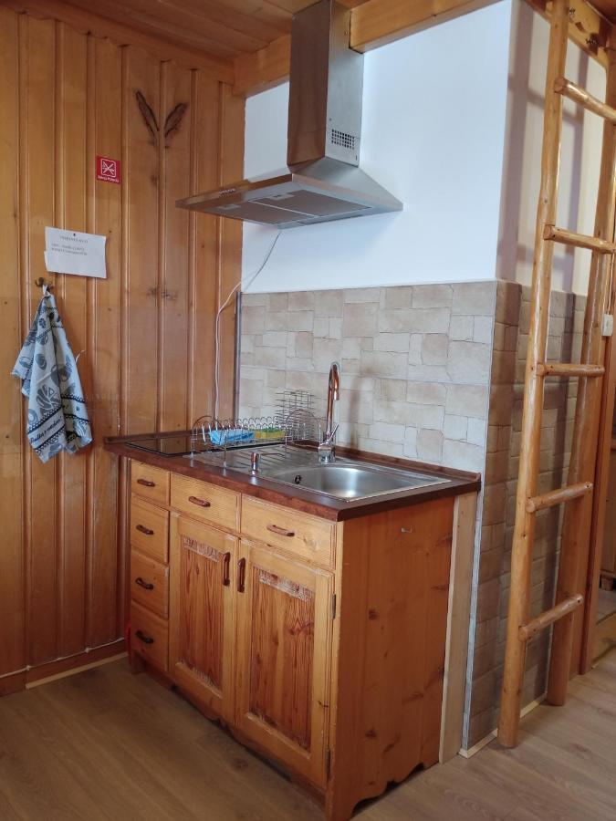 Apartament Rojka ザコパネ エクステリア 写真