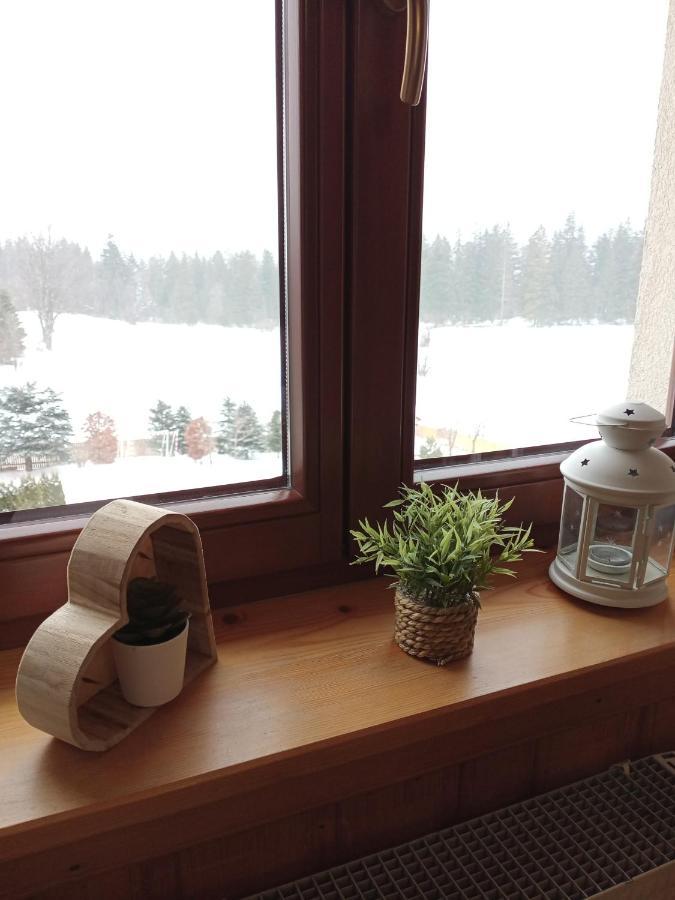 Apartament Rojka ザコパネ エクステリア 写真