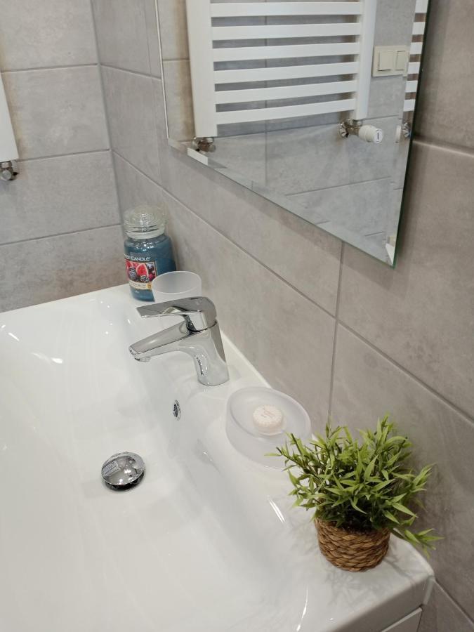 Apartament Rojka ザコパネ エクステリア 写真